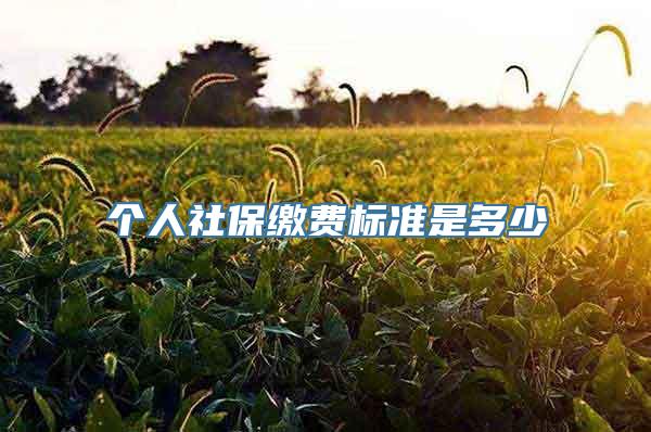 个人社保缴费标准是多少