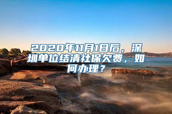 2020年11月1日后，深圳单位结清社保欠费，如何办理？