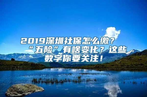 2019深圳社保怎么缴？“五险”有啥变化？这些数字你要关注！