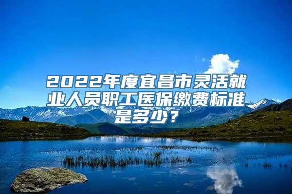 2022年度宜昌市灵活就业人员职工医保缴费标准是多少？