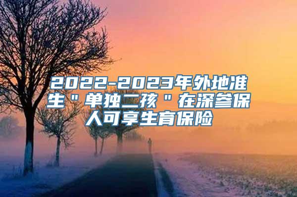 2022-2023年外地准生＂单独二孩＂在深参保人可享生育保险