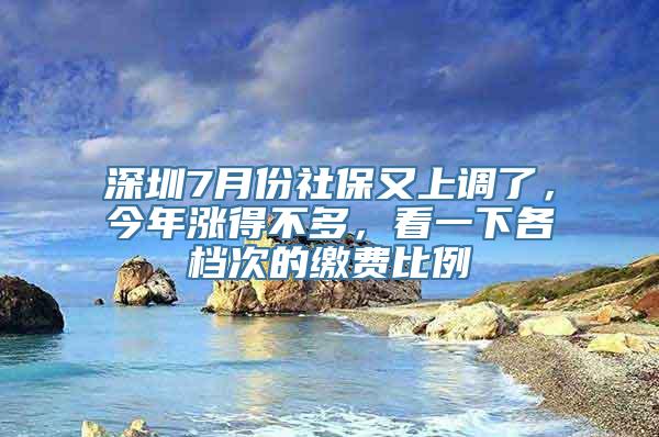 深圳7月份社保又上调了，今年涨得不多，看一下各档次的缴费比例