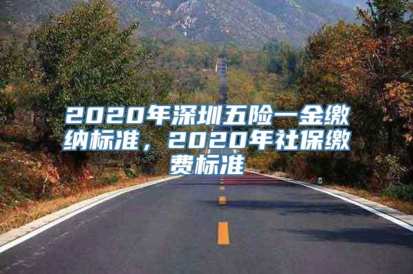 2020年深圳五险一金缴纳标准，2020年社保缴费标准