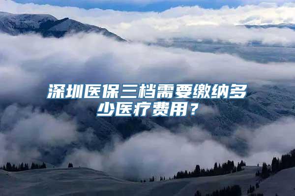 深圳医保三档需要缴纳多少医疗费用？