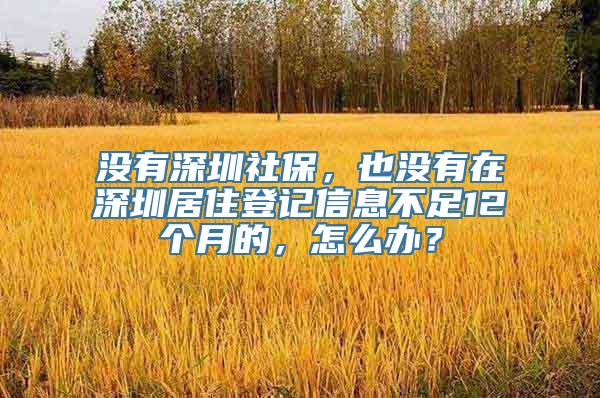 没有深圳社保，也没有在深圳居住登记信息不足12个月的，怎么办？