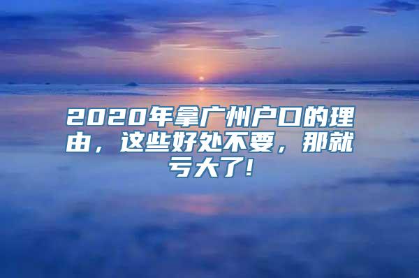 2020年拿广州户口的理由，这些好处不要，那就亏大了!