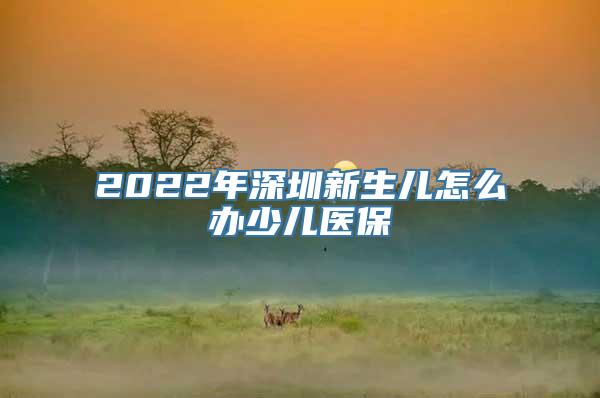 2022年深圳新生儿怎么办少儿医保