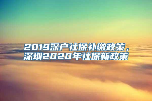 2019深户社保补缴政策，深圳2020年社保新政策