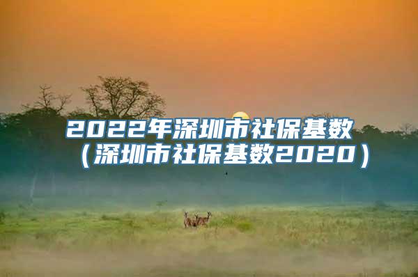 2022年深圳市社保基数（深圳市社保基数2020）