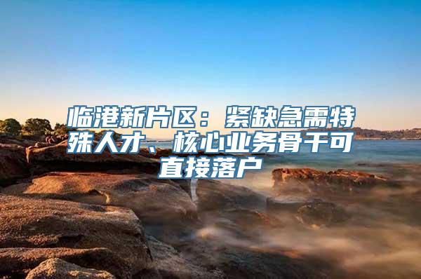 临港新片区：紧缺急需特殊人才、核心业务骨干可直接落户