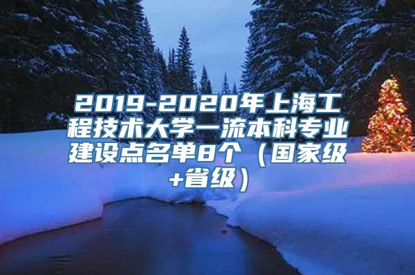 2019-2020年上海工程技术大学一流本科专业建设点名单8个（国家级+省级）