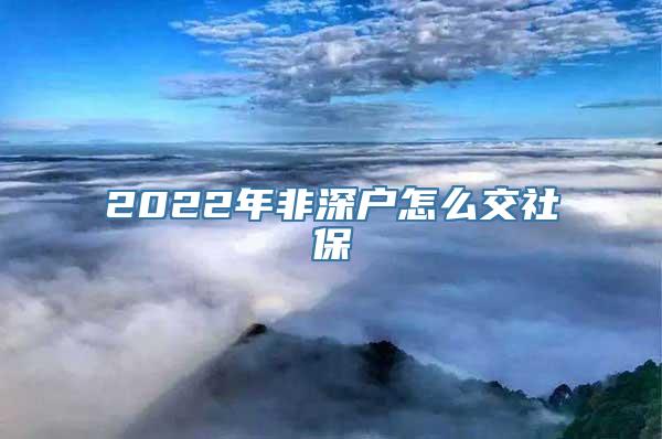 2022年非深户怎么交社保