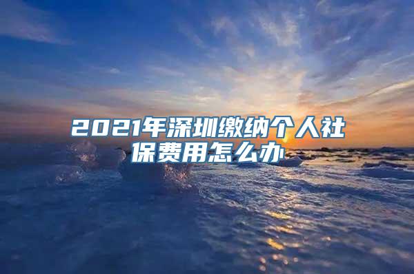 2021年深圳缴纳个人社保费用怎么办