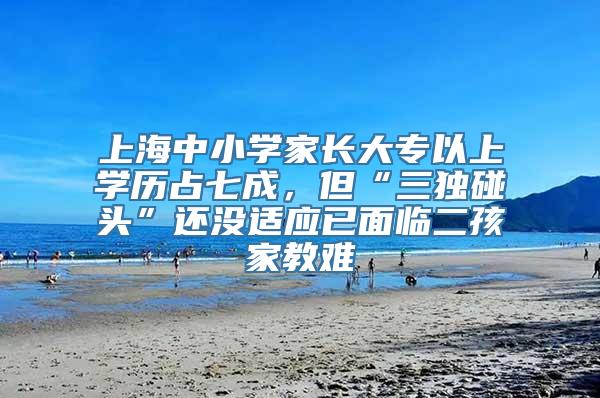 上海中小学家长大专以上学历占七成，但“三独碰头”还没适应已面临二孩家教难