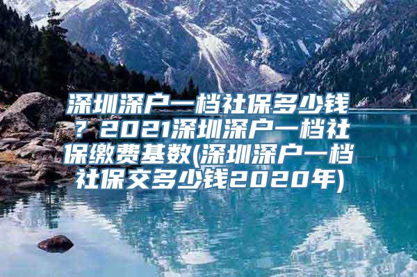 深圳深户一档社保多少钱？2021深圳深户一档社保缴费基数(深圳深户一档社保交多少钱2020年)