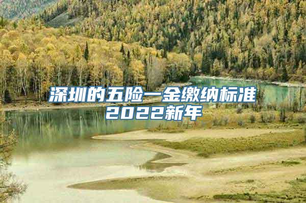 深圳的五险一金缴纳标准2022新年
