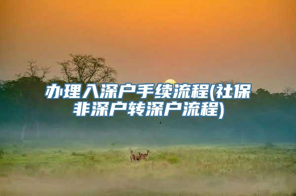 办理入深户手续流程(社保非深户转深户流程)