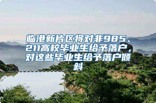 临港新片区将对非985、211高校毕业生给予落户，对这些毕业生给予落户倾斜