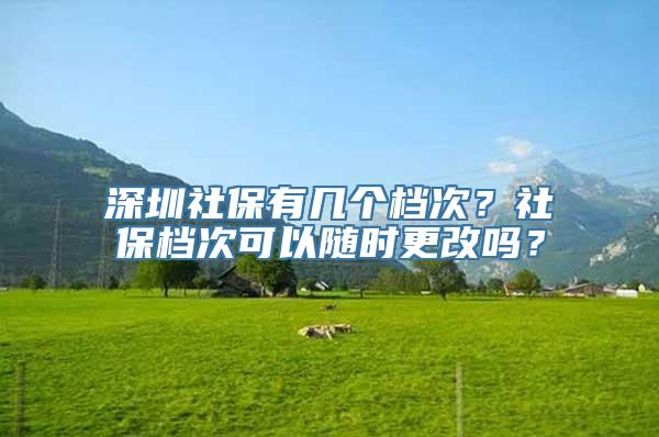 深圳社保有几个档次？社保档次可以随时更改吗？
