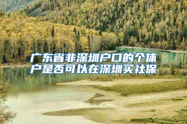 广东省非深圳户口的个体户是否可以在深圳买社保