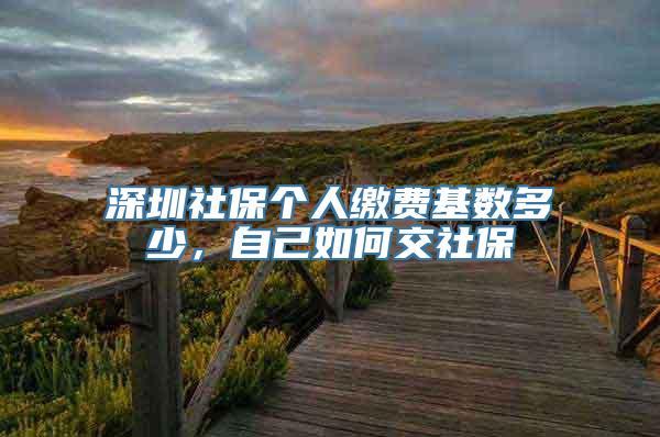 深圳社保个人缴费基数多少，自己如何交社保