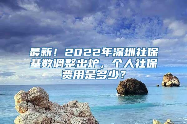最新！2022年深圳社保基数调整出炉，个人社保费用是多少？