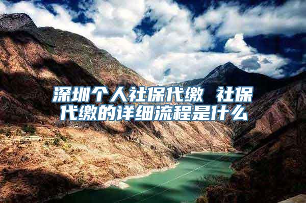 深圳个人社保代缴 社保代缴的详细流程是什么