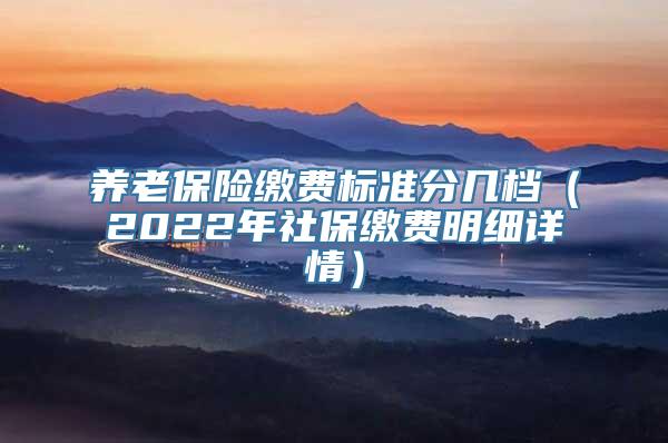 养老保险缴费标准分几档（2022年社保缴费明细详情）