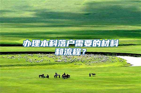 办理本科落户需要的材料和流程？