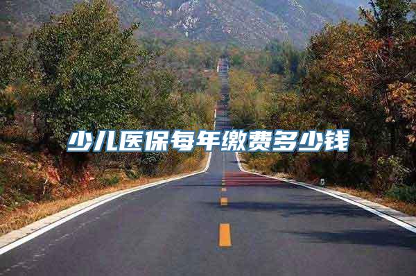 少儿医保每年缴费多少钱