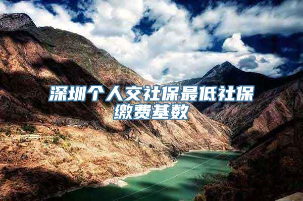 深圳个人交社保最低社保缴费基数