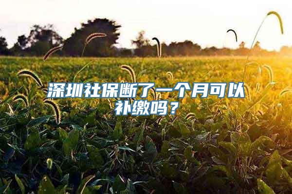 深圳社保断了一个月可以补缴吗？