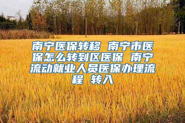 南宁医保转移 南宁市医保怎么转到区医保 南宁流动就业人员医保办理流程 转入