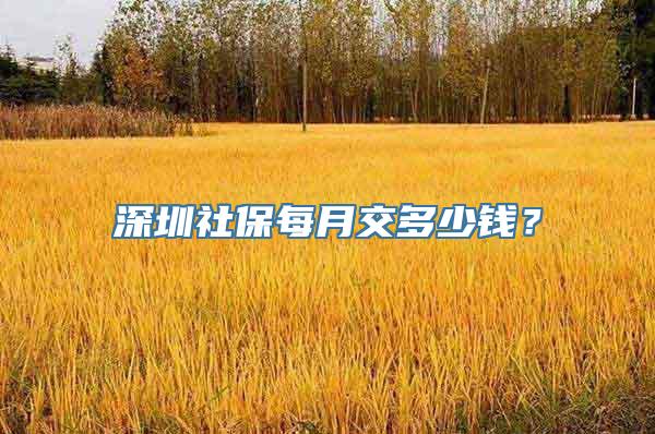 深圳社保每月交多少钱？