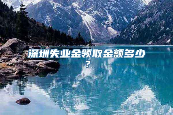 深圳失业金领取金额多少？