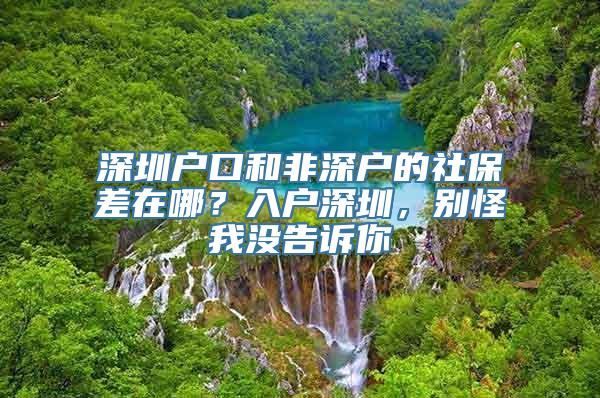深圳户口和非深户的社保差在哪？入户深圳，别怪我没告诉你