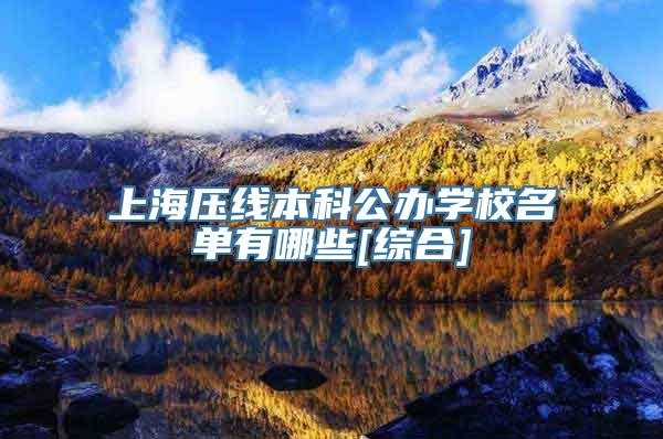 上海压线本科公办学校名单有哪些[综合]