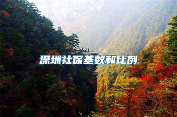 深圳社保基数和比例