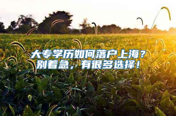 大专学历如何落户上海？别着急，有很多选择！
