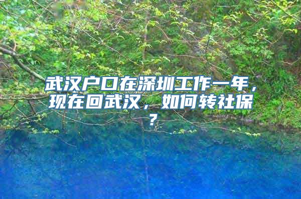 武汉户口在深圳工作一年，现在回武汉，如何转社保？
