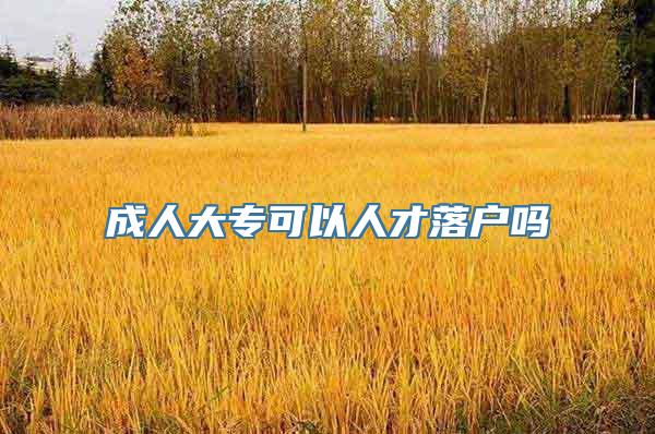 成人大专可以人才落户吗