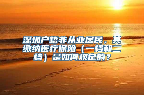 深圳户籍非从业居民，其缴纳医疗保险（一档和二档）是如何规定的？