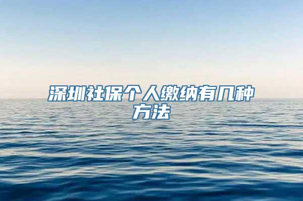 深圳社保个人缴纳有几种方法
