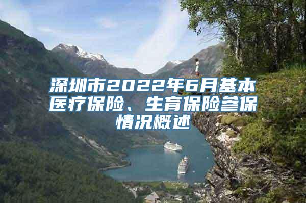 深圳市2022年6月基本医疗保险、生育保险参保情况概述