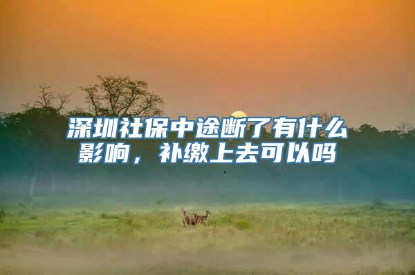 深圳社保中途断了有什么影响，补缴上去可以吗