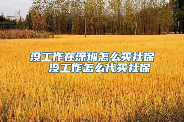 没工作在深圳怎么买社保  没工作怎么代买社保