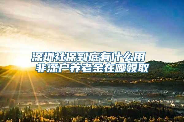 深圳社保到底有什么用 非深户养老金在哪领取