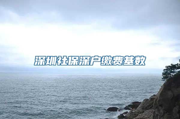 深圳社保深户缴费基数