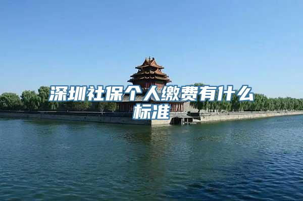 深圳社保个人缴费有什么标准