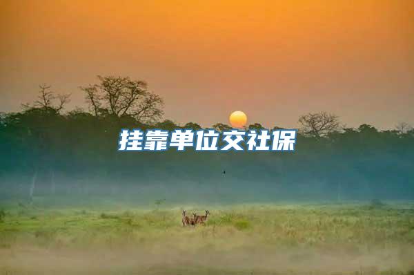 挂靠单位交社保